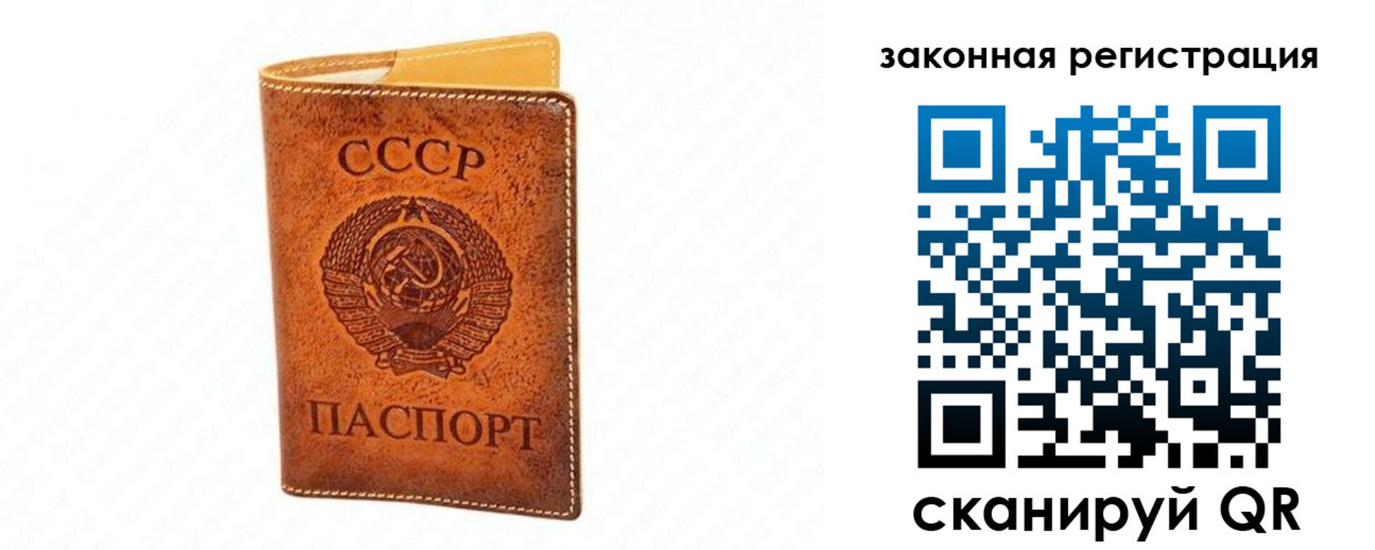 прописка паспорт в Кингисеппе