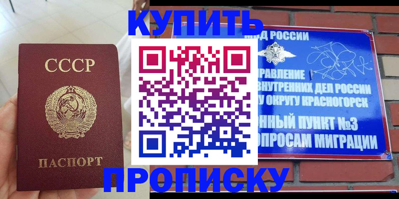временная регистрация купить в Кингисеппе